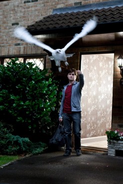 247px-Harry-Potter-073